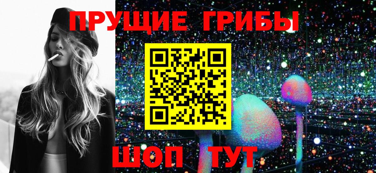 Гуково  Псилоцибиновые грибы Cubensis  Вход с VPN  Псилоцибиновые грибы прущие грибы 