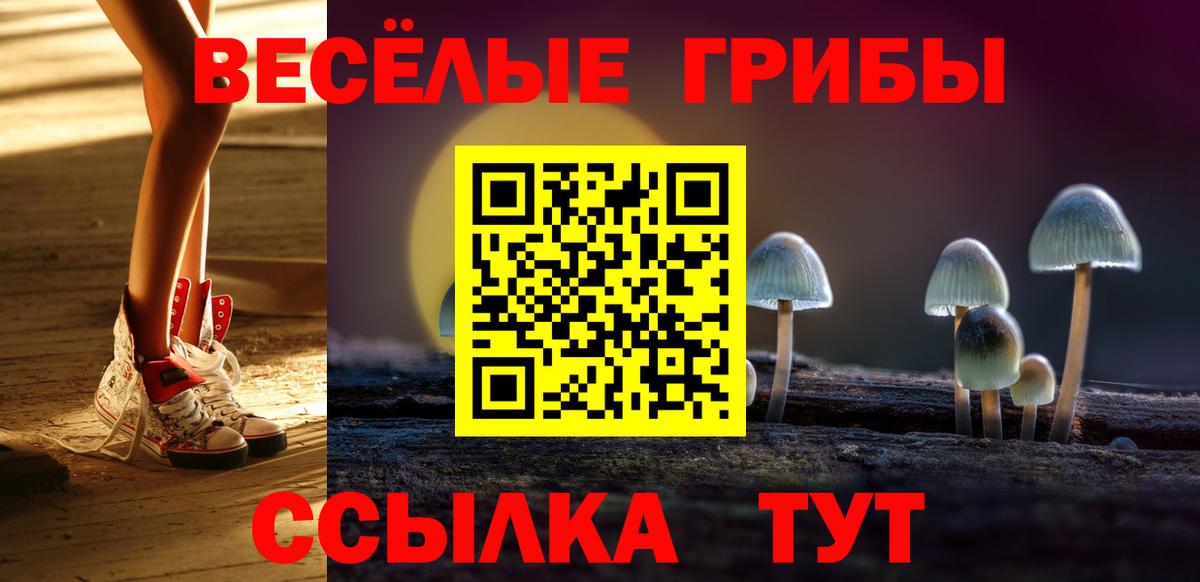Псилоцибиновые грибы мицелий Гуково